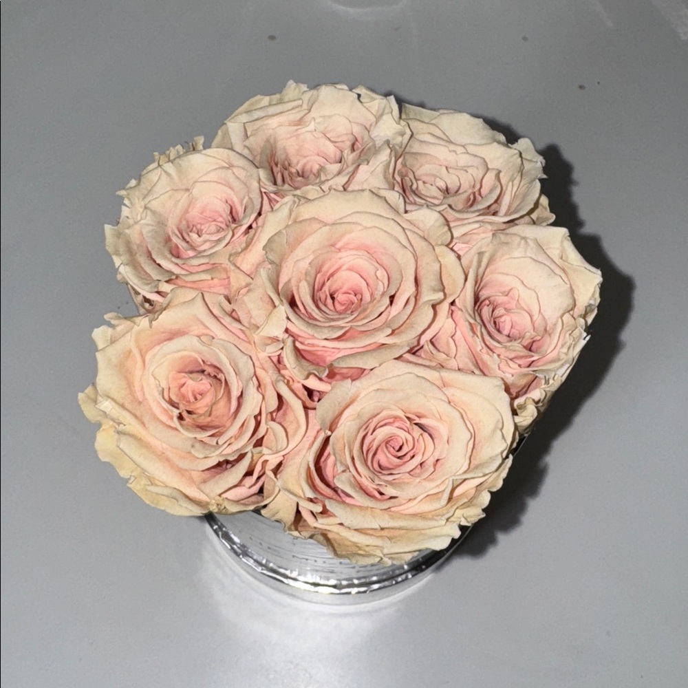 The Million Roses Silver Mirror Box Light Pink Roses Floral Arrangement - Picture 2 of 3